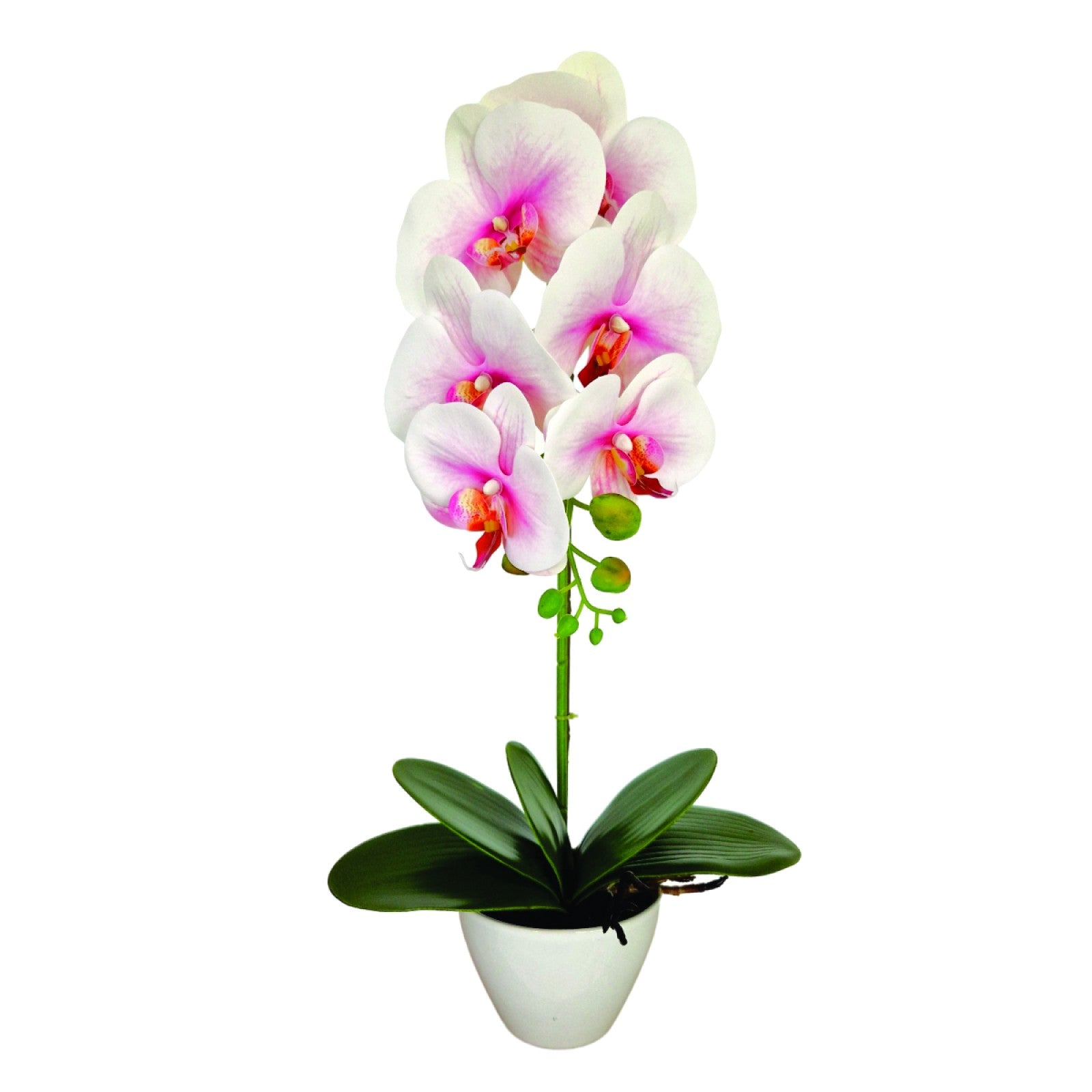 Orhidee cu aspect natural în ghiveci ceramic, 46 cm, diverse culori ❘ D5820