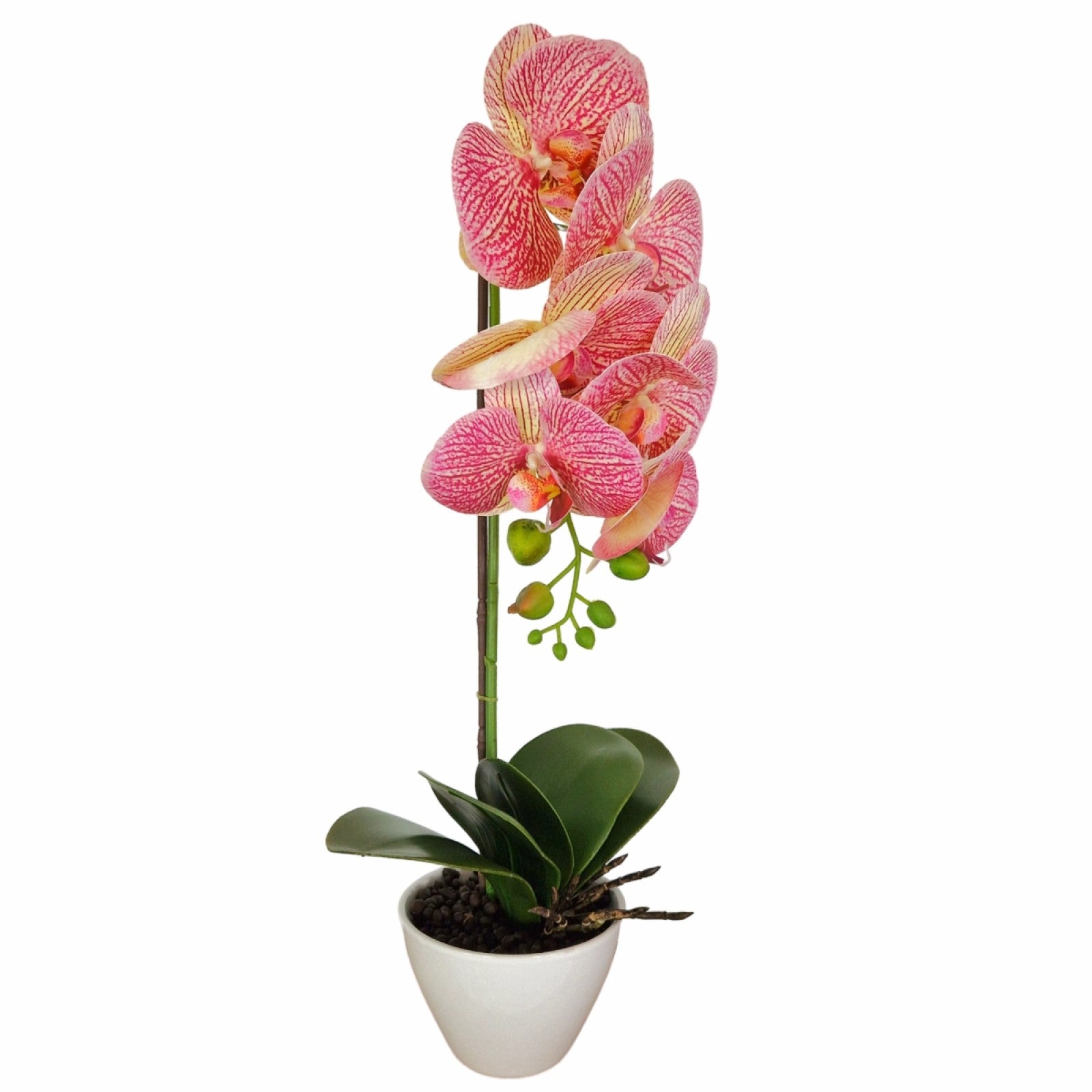 Orhidee cu aspect natural în ghiveci ceramic, 46 cm, diverse culori ❘ D5820