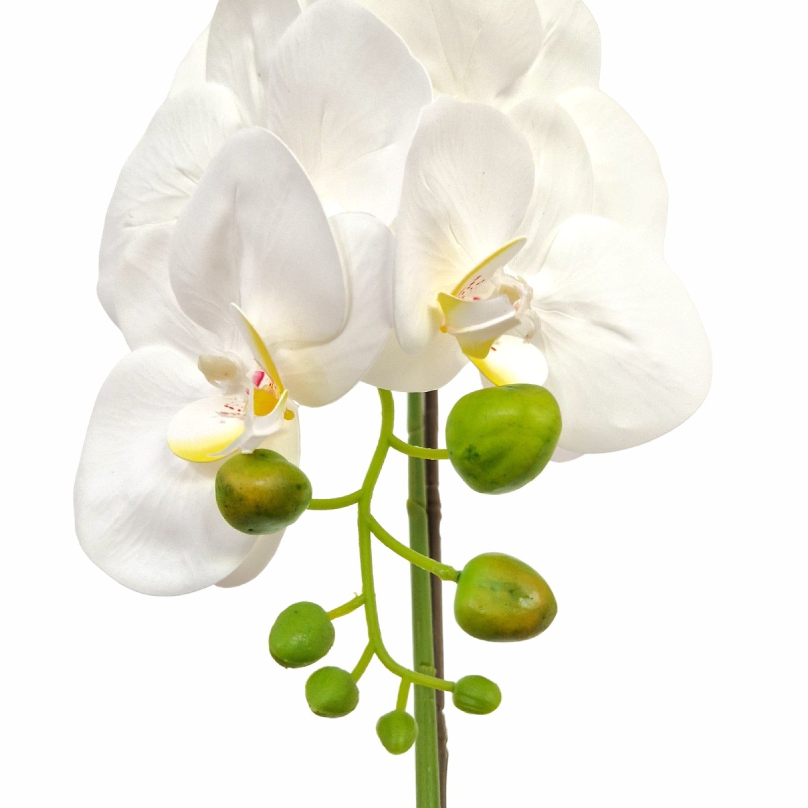 Orhidee cu aspect natural în ghiveci ceramic, 46 cm, diverse culori ❘ D5820