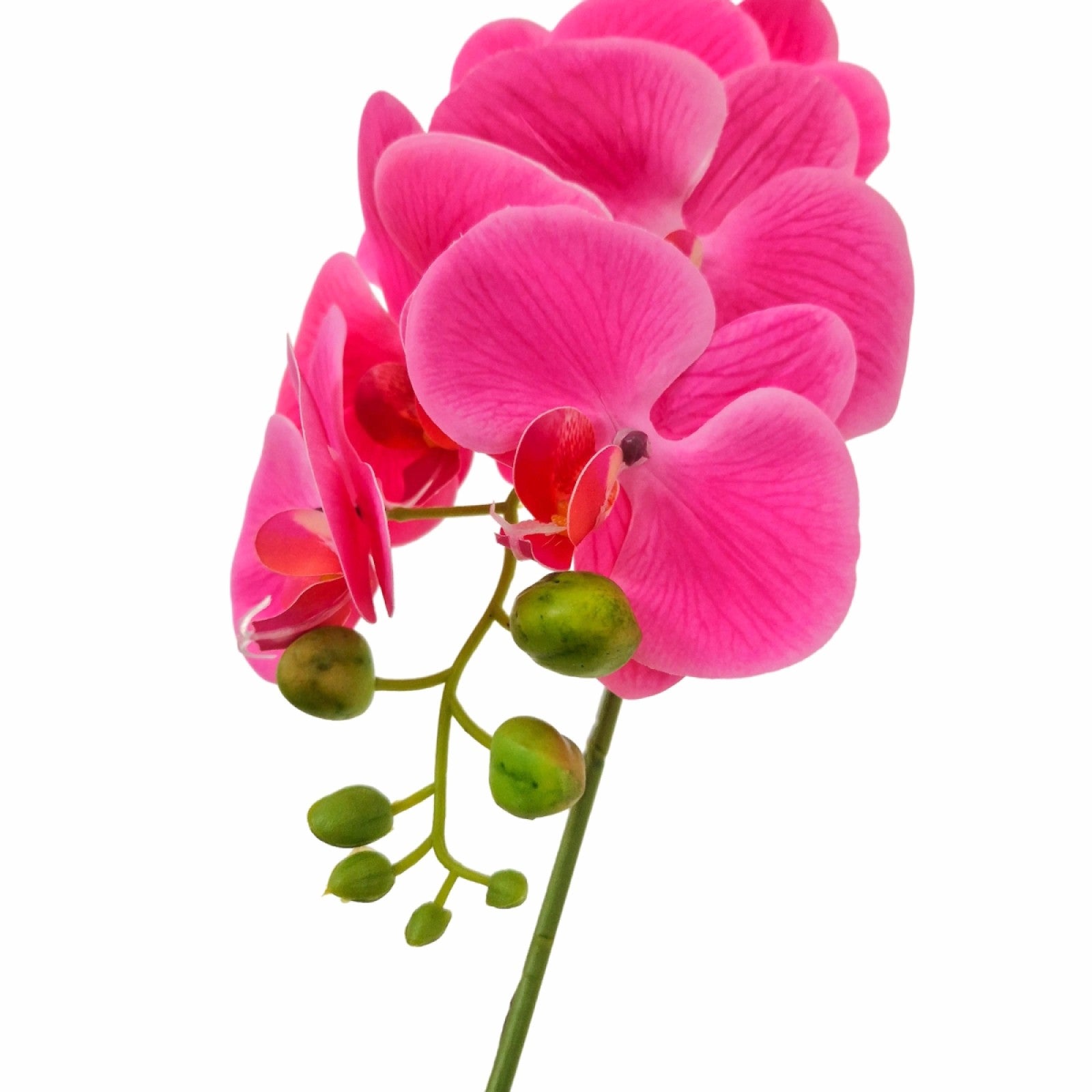 Orhidee cu aspect natural în ghiveci ceramic, 46 cm, diverse culori ❘ D5820