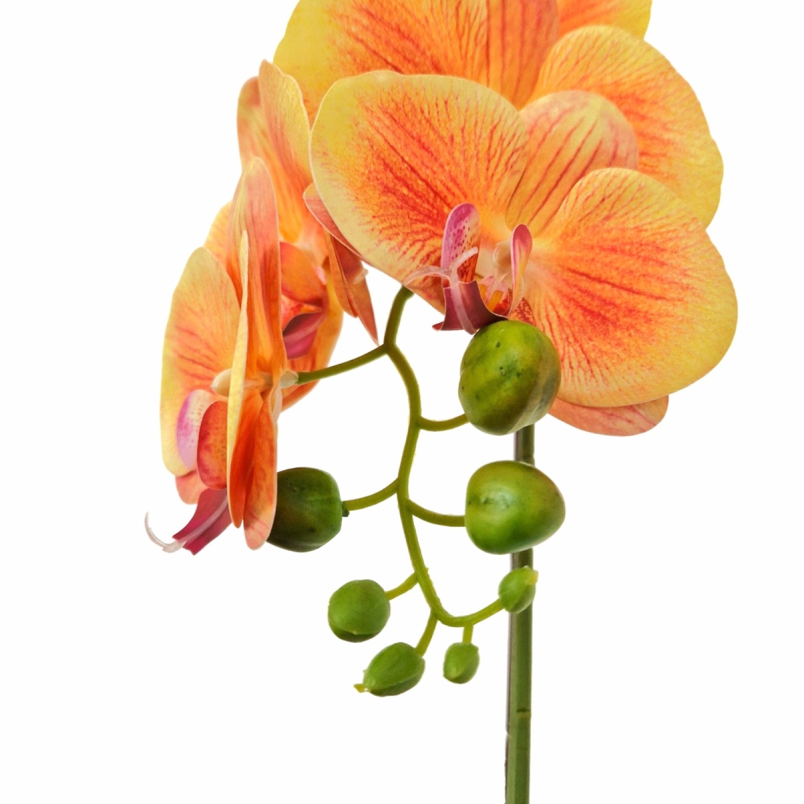 Orhidee cu aspect natural în ghiveci ceramic, 46 cm, diverse culori ❘ D5820