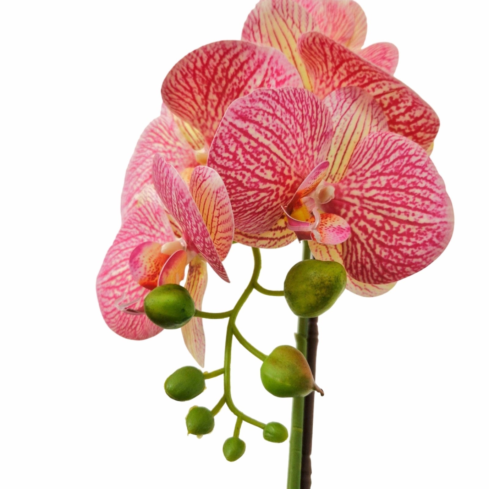 Orhidee cu aspect natural în ghiveci ceramic, 46 cm, diverse culori ❘ D5820