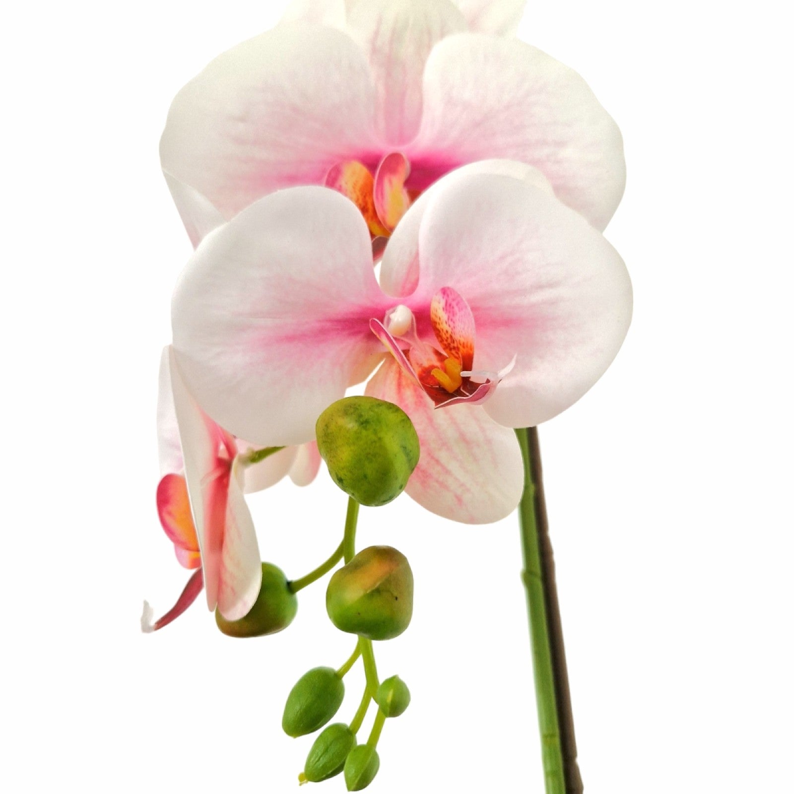 Orhidee cu aspect natural în ghiveci ceramic, 46 cm, diverse culori ❘ D5820