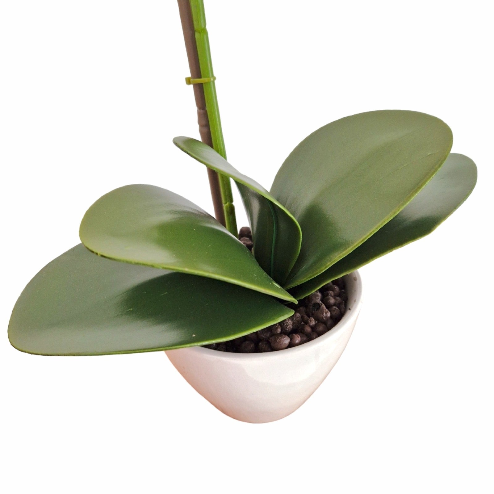 Orhidee cu aspect natural în ghiveci ceramic, 46 cm, diverse culori ❘ D5820