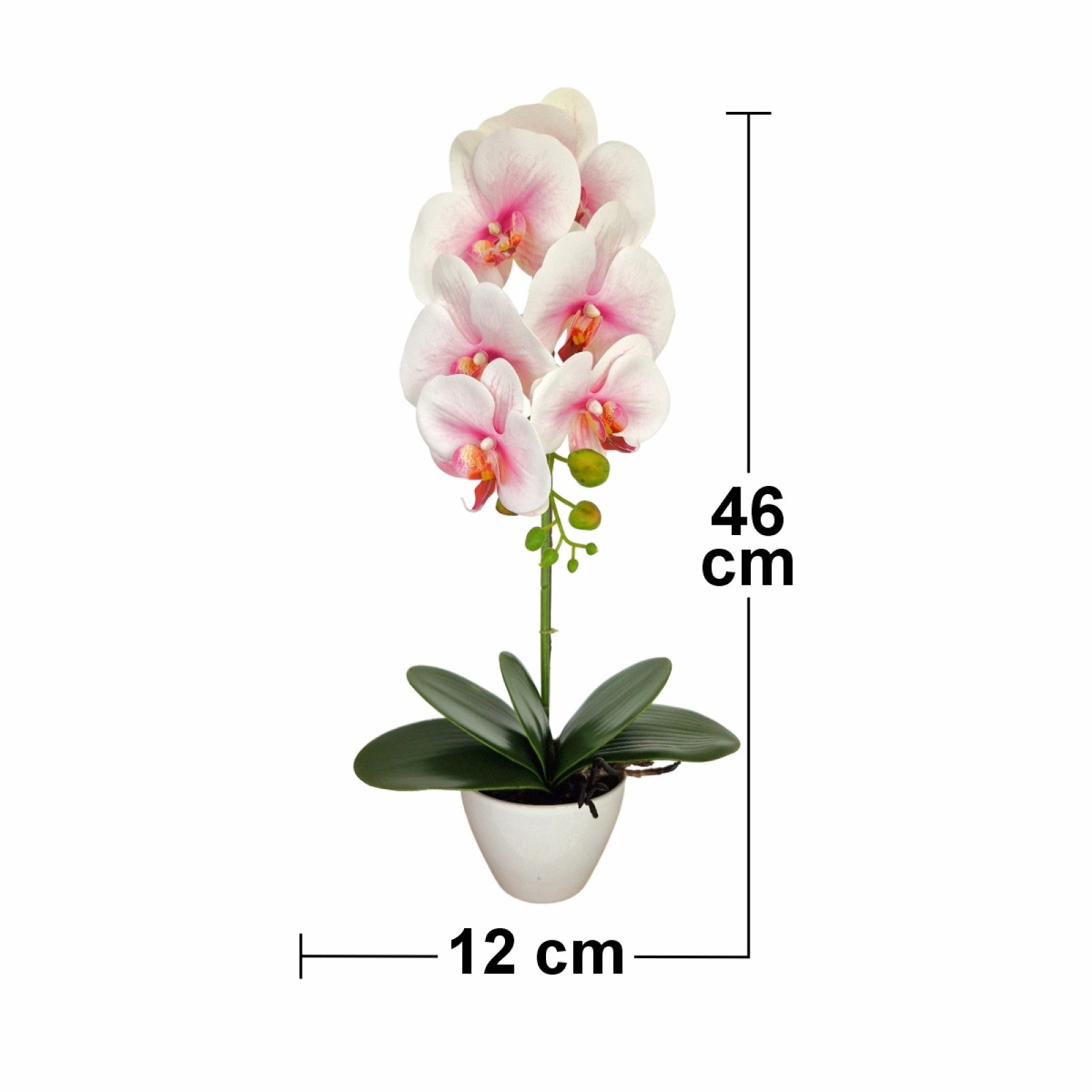 Orhidee cu aspect natural în ghiveci ceramic, 46 cm, diverse culori ❘ D5820