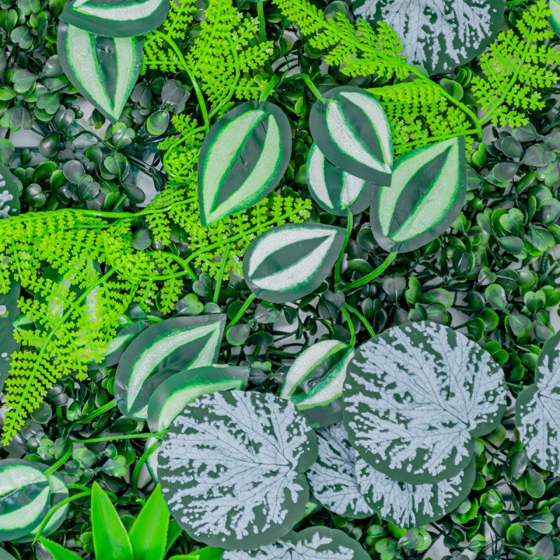 Panou din Plante Artificiale, cu Frunze, Verde Multicolor, 600x400mm, Diverse Modele | D5901 + D5897