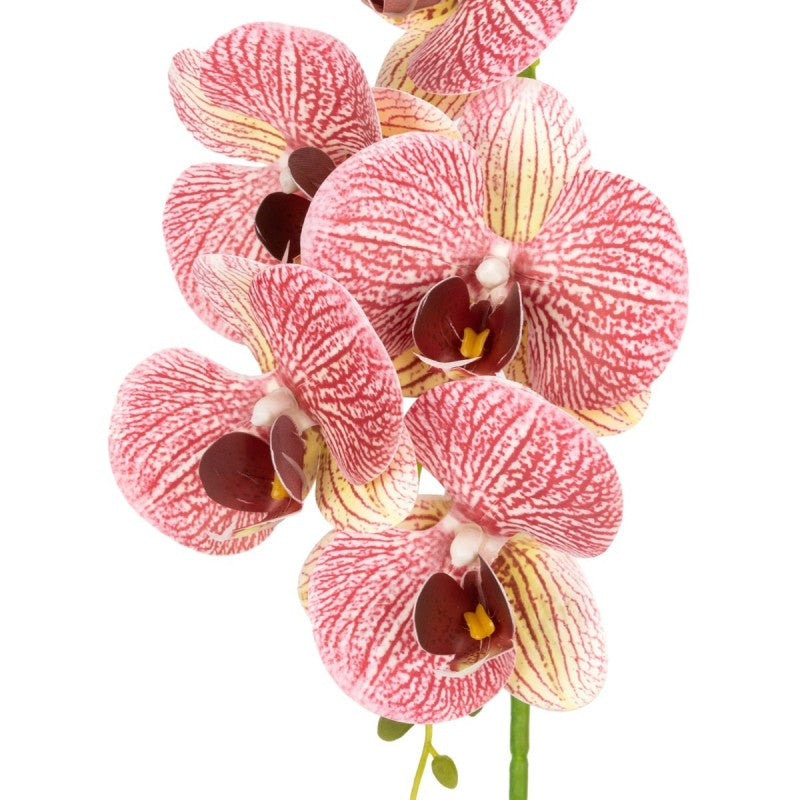 Pachet: 2 x Orhidee cu aspect natural în ghiveci ceramic, 42 cm, diverse culori ❘ D6881 / D6880 / D6879 / D6882