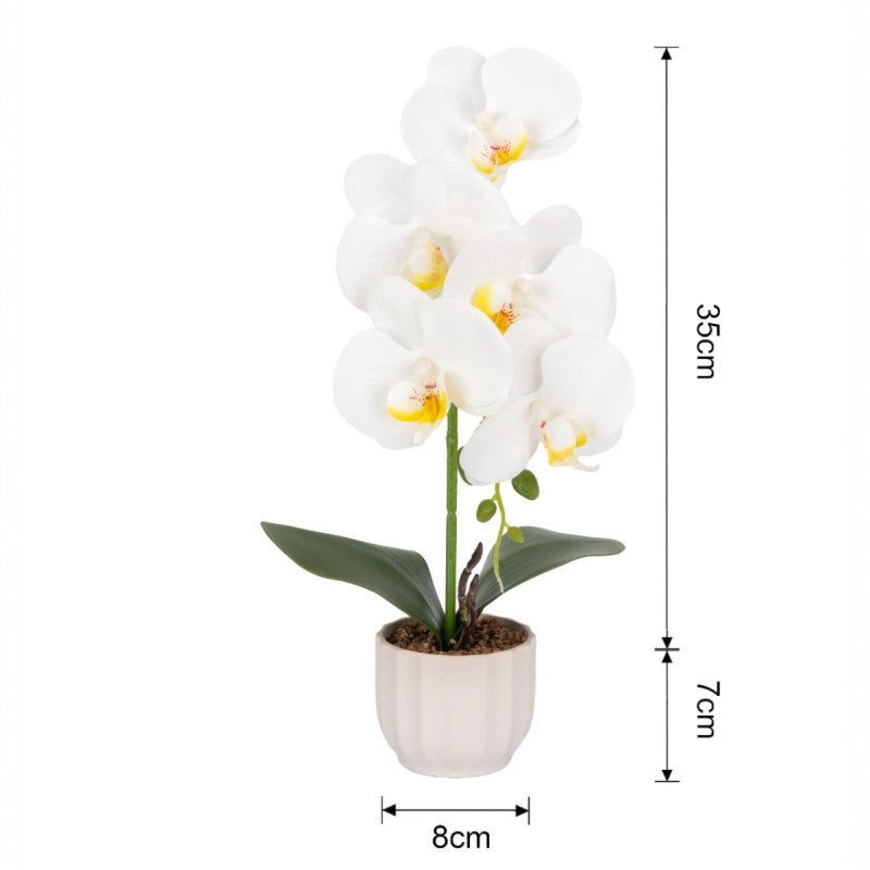 Pachet: 2 x Orhidee cu aspect natural în ghiveci ceramic, 42 cm, diverse culori ❘ D6881 / D6880 / D6879 / D6882