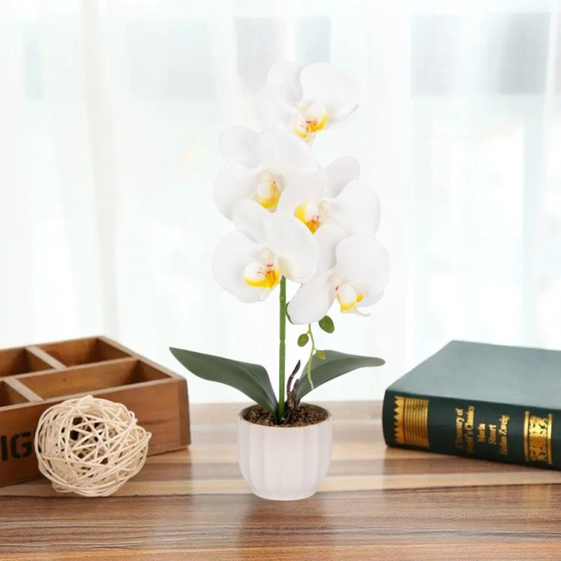 Orhidee cu aspect natural în ghiveci ceramic, 42 cm, diverse culori ❘ D68__