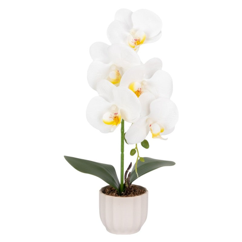Pachet: 2 x Orhidee cu aspect natural în ghiveci ceramic, 42 cm, diverse culori ❘ D6881 / D6880 / D6879 / D6882