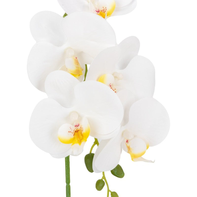 Pachet: 2 x Orhidee cu aspect natural în ghiveci ceramic, 42 cm, diverse culori ❘ D6881 / D6880 / D6879 / D6882