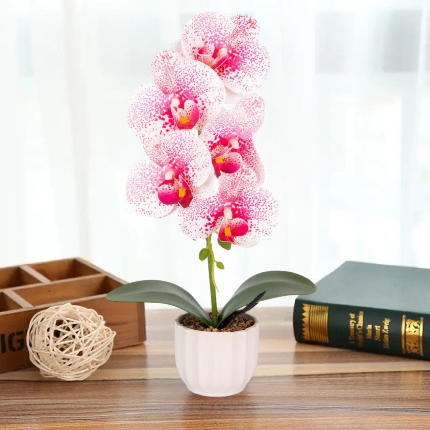 Orhidee cu aspect natural în ghiveci ceramic, 42 cm, diverse culori ❘ D68__