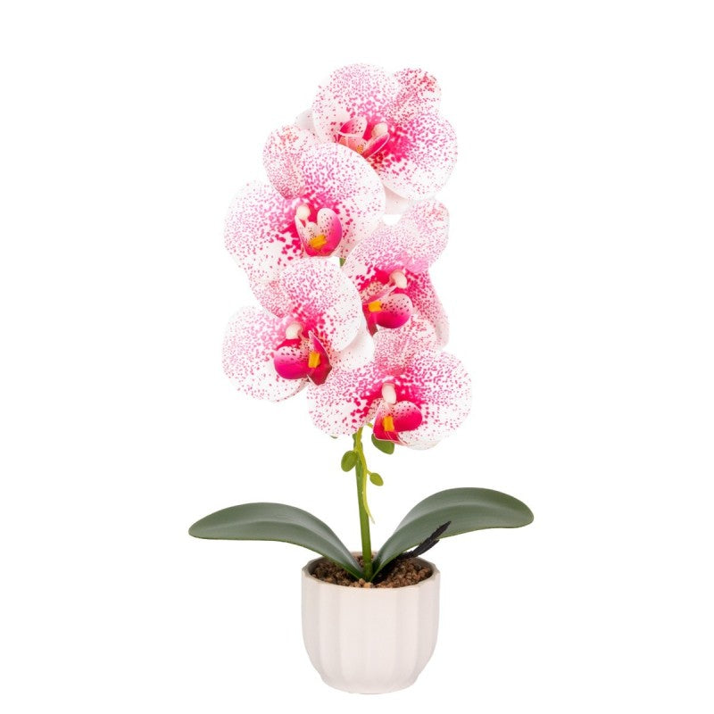 Orhidee cu aspect natural în ghiveci ceramic, 42 cm, diverse culori ❘ D68__