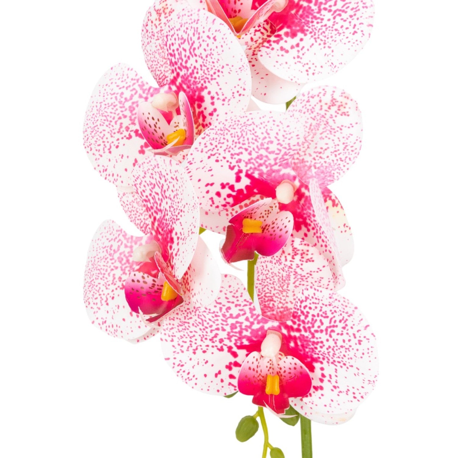 Orhidee cu aspect natural în ghiveci ceramic, 42 cm, diverse culori ❘ D68__