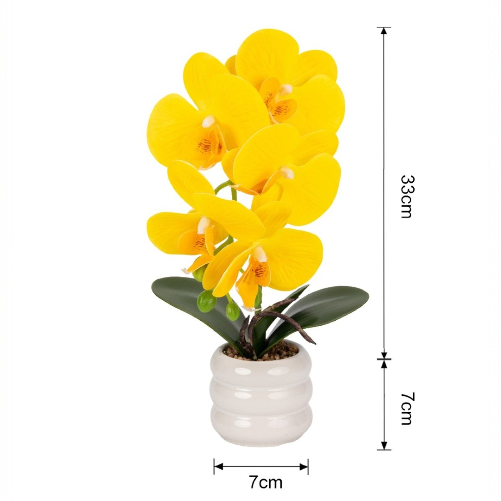 Orhidee - aspect natural în ghiveci ceramic, 40 cm, Galben |