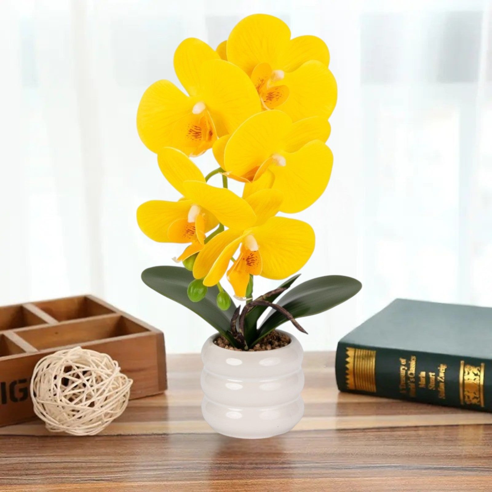 Orhidee - aspect natural în ghiveci ceramic, 40 cm, Galben |