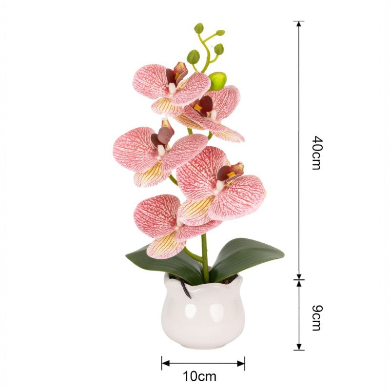 Pachet: 2 x Orhidee cu aspect natural în ghiveci ceramic, 49 cm, diverse culori ❘ D6894 / D6892 / D6891