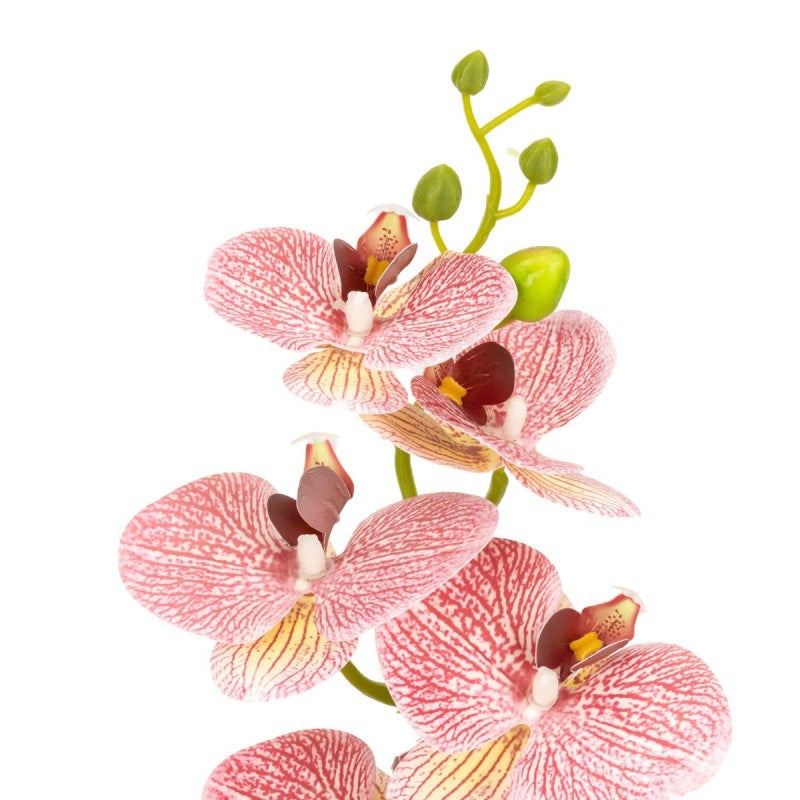 Pachet: 2 x Orhidee cu aspect natural în ghiveci ceramic, 49 cm, diverse culori ❘ D6894 / D6892 / D6891