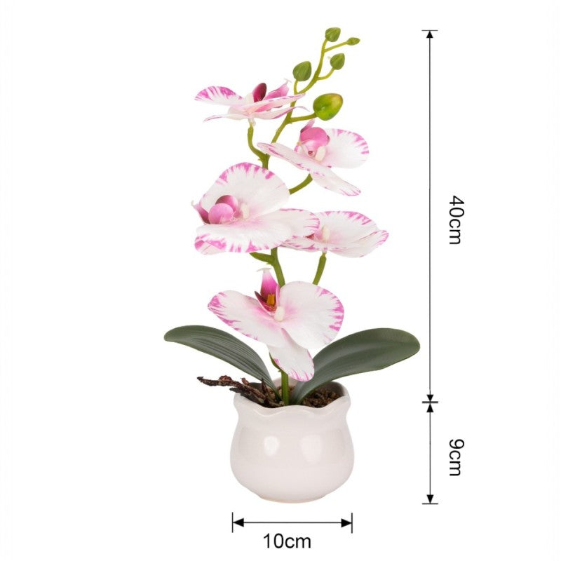 Pachet: 2 x Orhidee cu aspect natural în ghiveci ceramic, 49 cm, diverse culori ❘ D6894 / D6892 / D6891