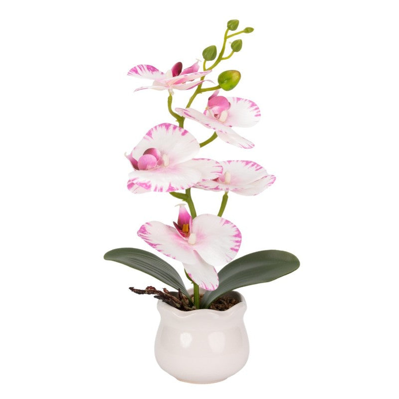Pachet: 2 x Orhidee cu aspect natural în ghiveci ceramic, 49 cm, diverse culori ❘ D6894 / D6892 / D6891