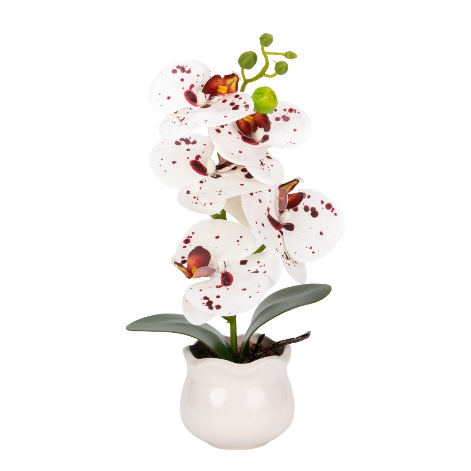 Set: 2 x Orhidee cu aspect natural în ghiveci ceramic, 49 cm, diverse culori ❘ D689_