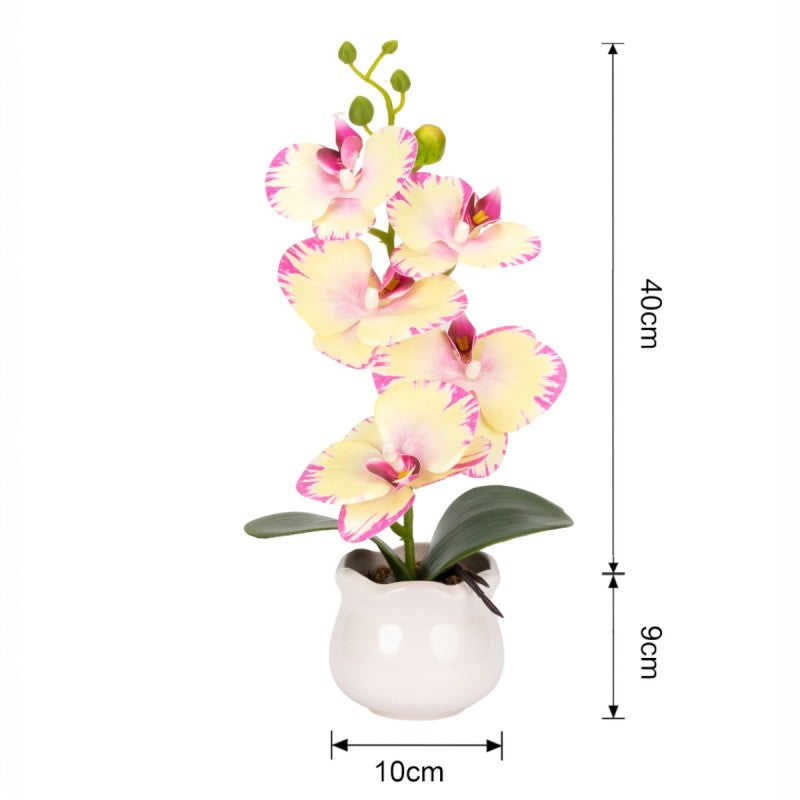 Pachet: 2 x Orhidee cu aspect natural în ghiveci ceramic, 49 cm, diverse culori ❘ D6894 / D6892 / D6891