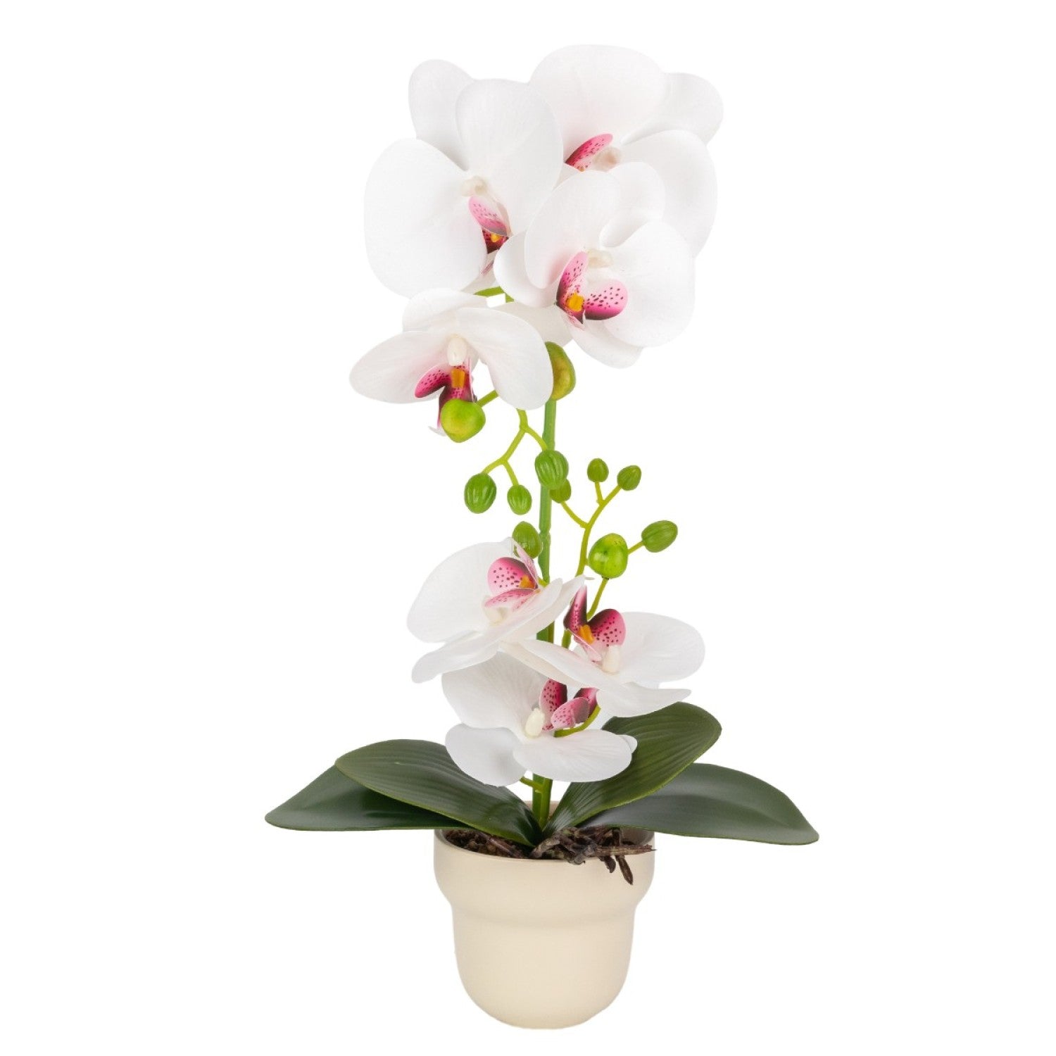 Orhidee cu aspect natural în ghiveci ceramic, 49 cm ❘ D689_