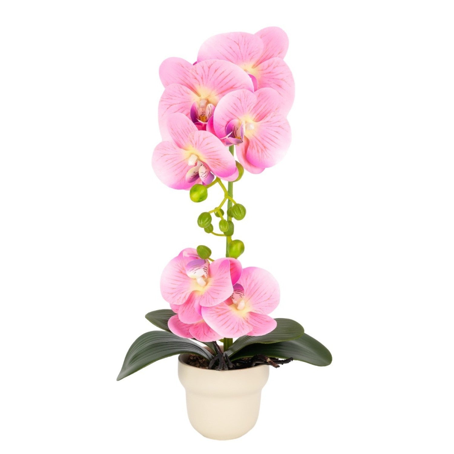 Orhidee cu aspect natural în ghiveci ceramic, 49 cm ❘ D689_