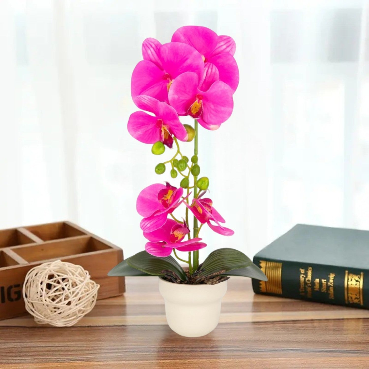 Orhidee cu aspect natural în ghiveci ceramic, 49 cm ❘ D689_