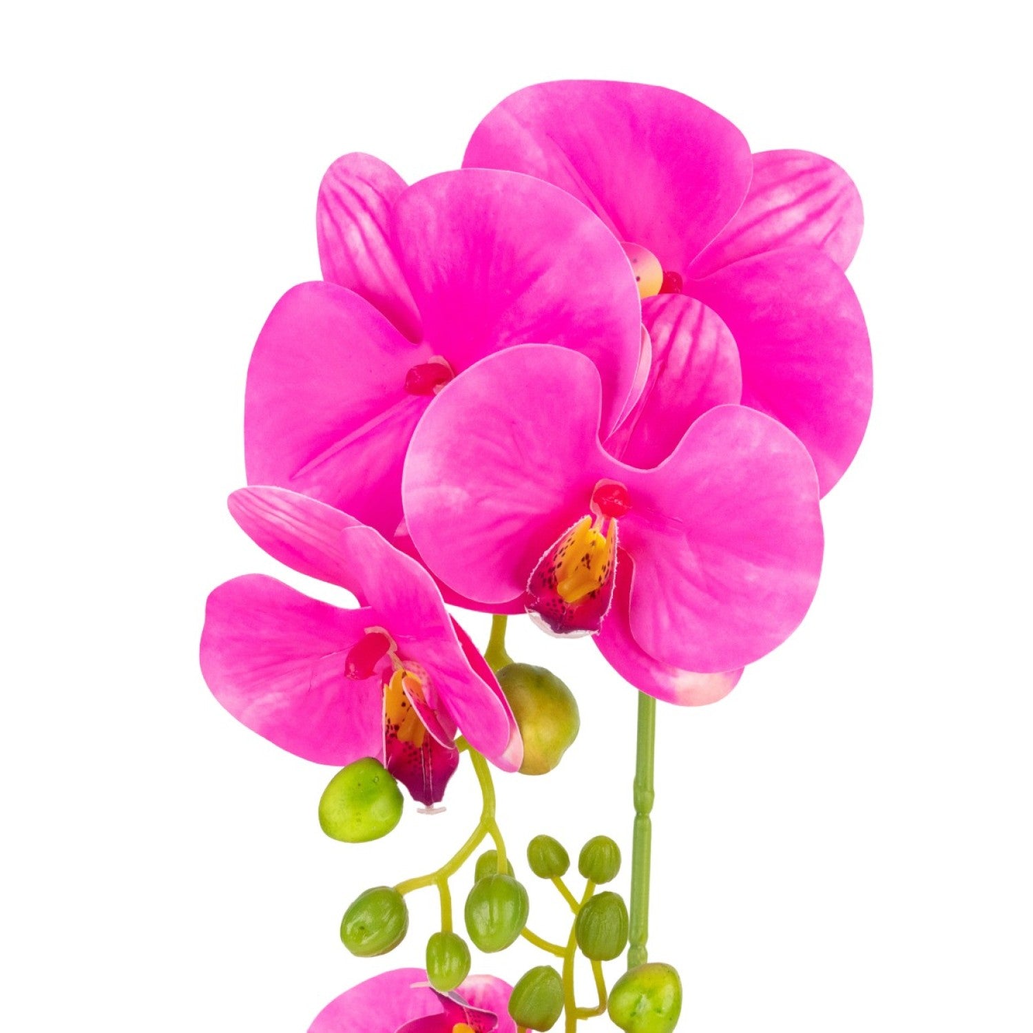 Orhidee cu aspect natural în ghiveci ceramic, 49 cm ❘ D689_