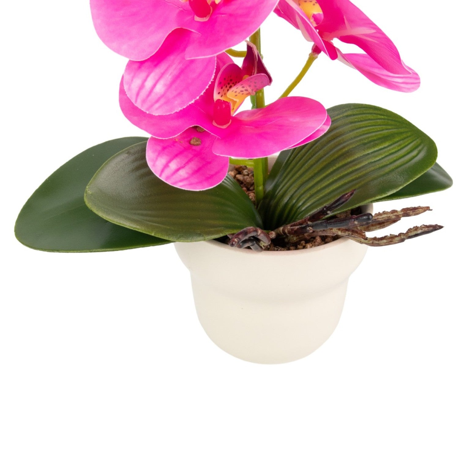 Orhidee cu aspect natural în ghiveci ceramic, 49 cm ❘ D689_