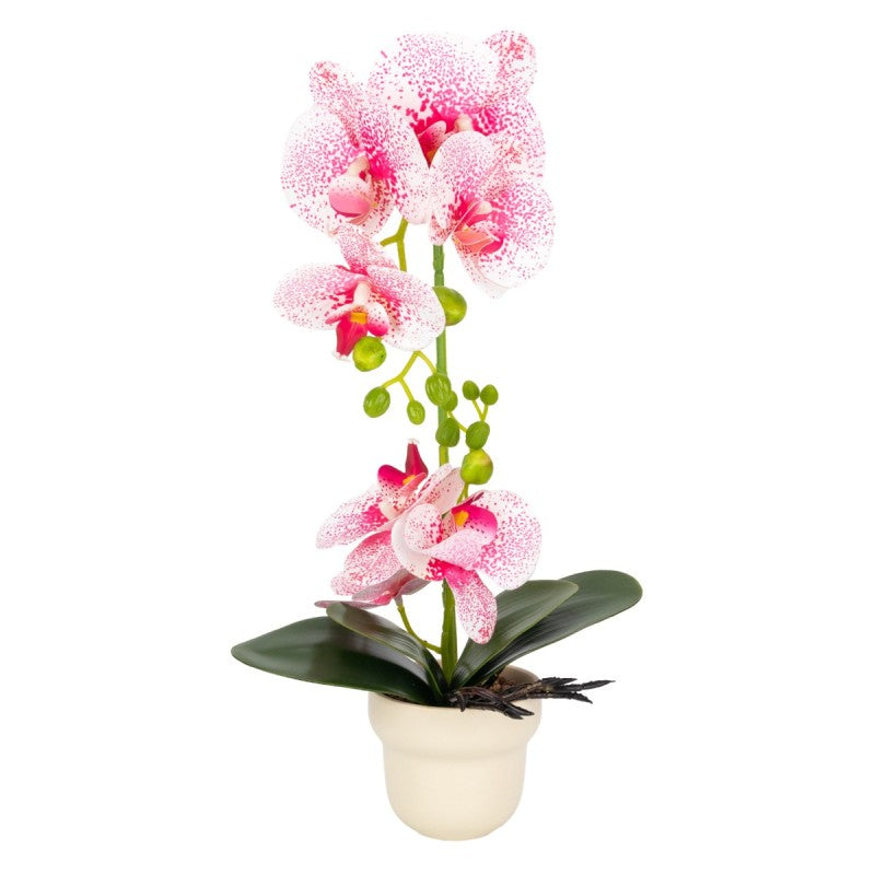 Orhidee cu aspect natural în ghiveci ceramic, 49 cm ❘ D689_