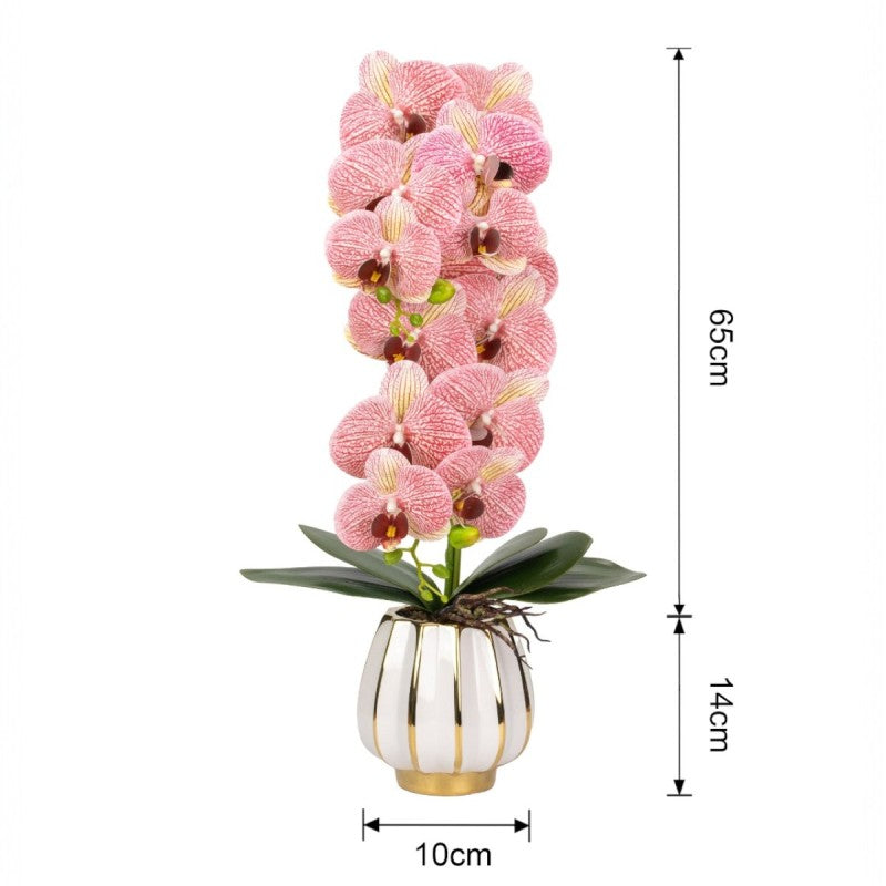 Orhidee cu Aspect Natural în Ghiveci Ceramic, 79 cm, Multiple Culori | D6899 / D6900 / D6901 / D6902