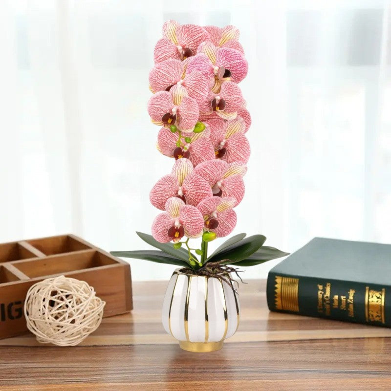 Orhidee cu Aspect Natural în Ghiveci Ceramic, 79 cm, Multiple Culori | D6899 / D6900 / D6901 / D6902