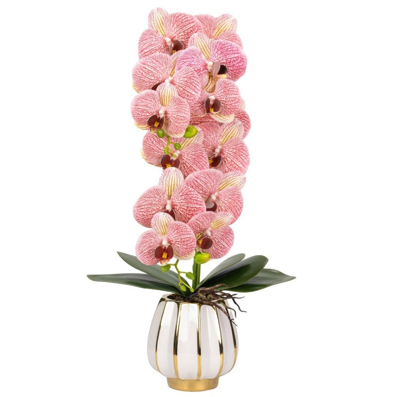 Orhidee cu Aspect Natural în Ghiveci Ceramic, 79 cm, Multiple Culori | D6899 / D6900 / D6901 / D6902