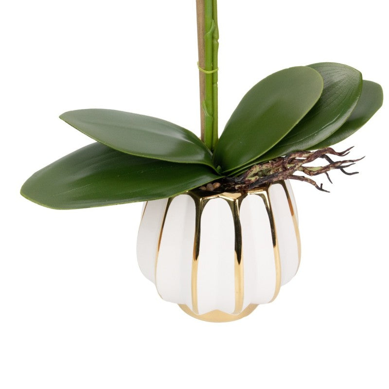 Orhidee cu Aspect Natural în Ghiveci Ceramic, 79 cm, Multiple Culori | D6899 / D6900 / D6901 / D6902