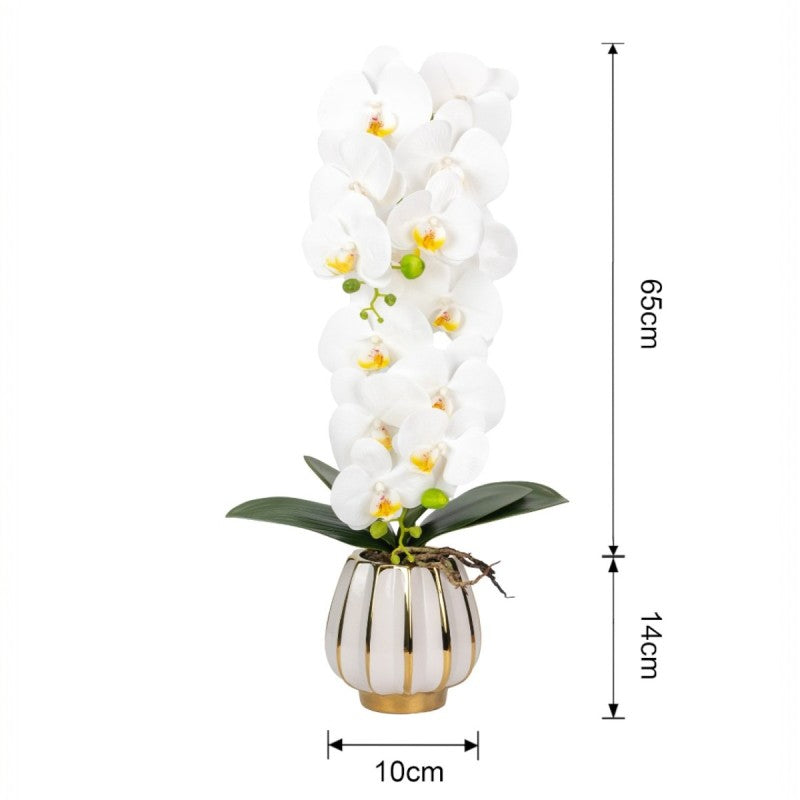 Orhidee cu Aspect Natural în Ghiveci Ceramic, 79 cm, Multiple Culori | D6899 / D6900 / D6901 / D6902