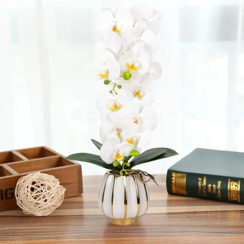 Orhidee cu Aspect Natural în Ghiveci Ceramic, 79 cm, Multiple Culori | D6899 / D6900 / D6901 / D6902
