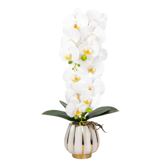 Orhidee cu Aspect Natural în Ghiveci Ceramic, 79 cm, Multiple Culori | D6899 / D6900 / D6901 / D6902