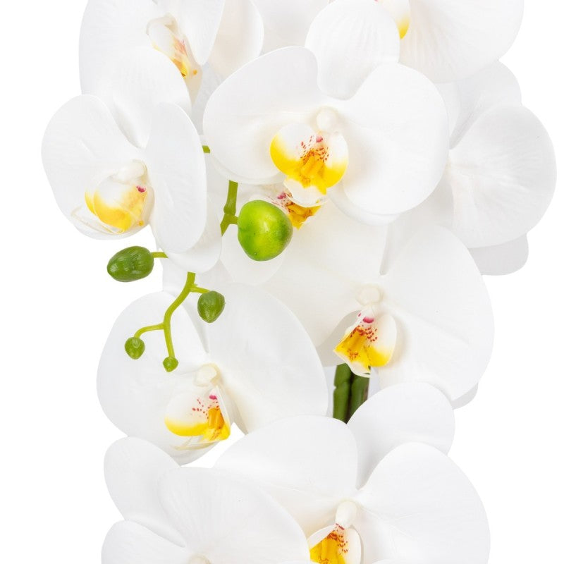 Orhidee cu Aspect Natural în Ghiveci Ceramic, 79 cm, Multiple Culori | D6899 / D6900 / D6901 / D6902