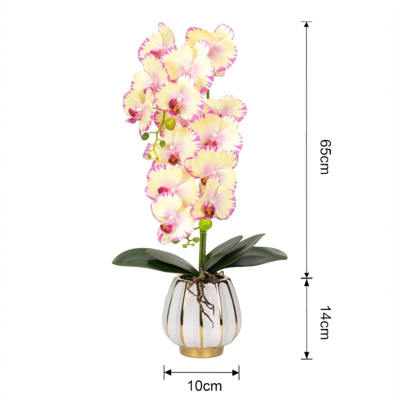 Orhidee cu Aspect Natural în Ghiveci Ceramic, 79 cm, Multiple Culori | D6899 / D6900 / D6901 / D6902
