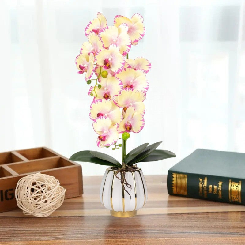 Orhidee cu Aspect Natural în Ghiveci Ceramic, 79 cm, Multiple Culori | D6899 / D6900 / D6901 / D6902