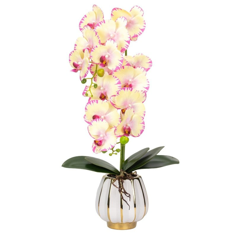 Orhidee cu Aspect Natural în Ghiveci Ceramic, 79 cm, Multiple Culori | D6899 / D6900 / D6901 / D6902