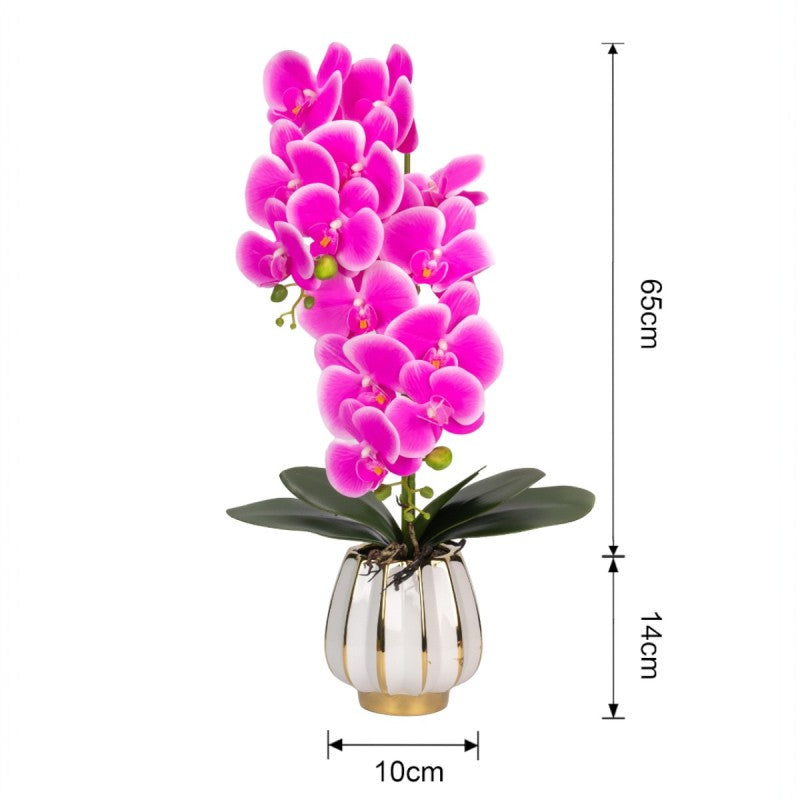 Orhidee cu Aspect Natural în Ghiveci Ceramic, 79 cm, Multiple Culori | D6899 / D6900 / D6901 / D6902