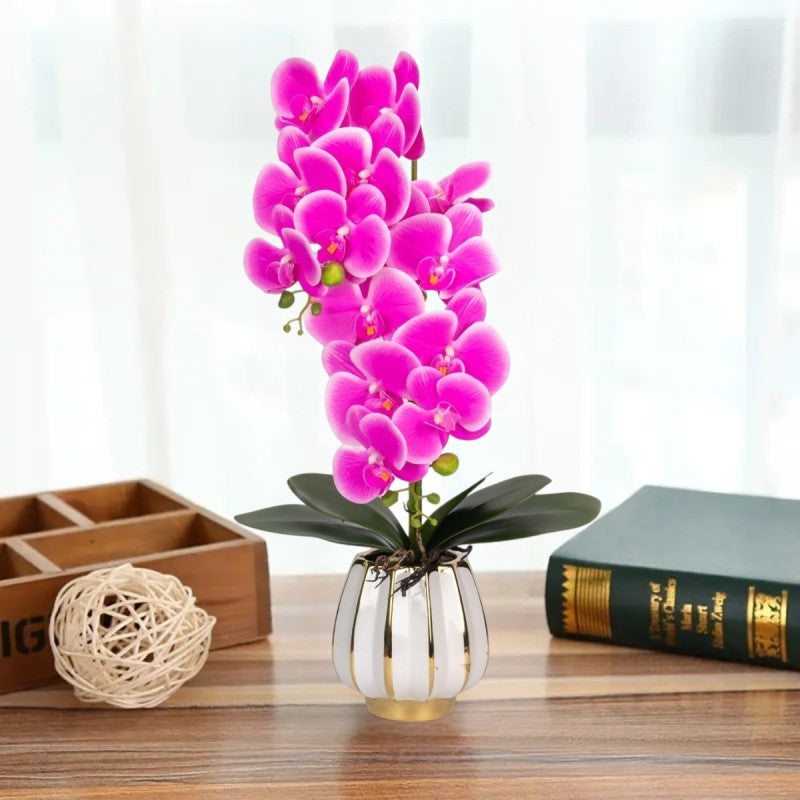 Orhidee cu Aspect Natural în Ghiveci Ceramic, 79 cm, Multiple Culori | D6899 / D6900 / D6901 / D6902
