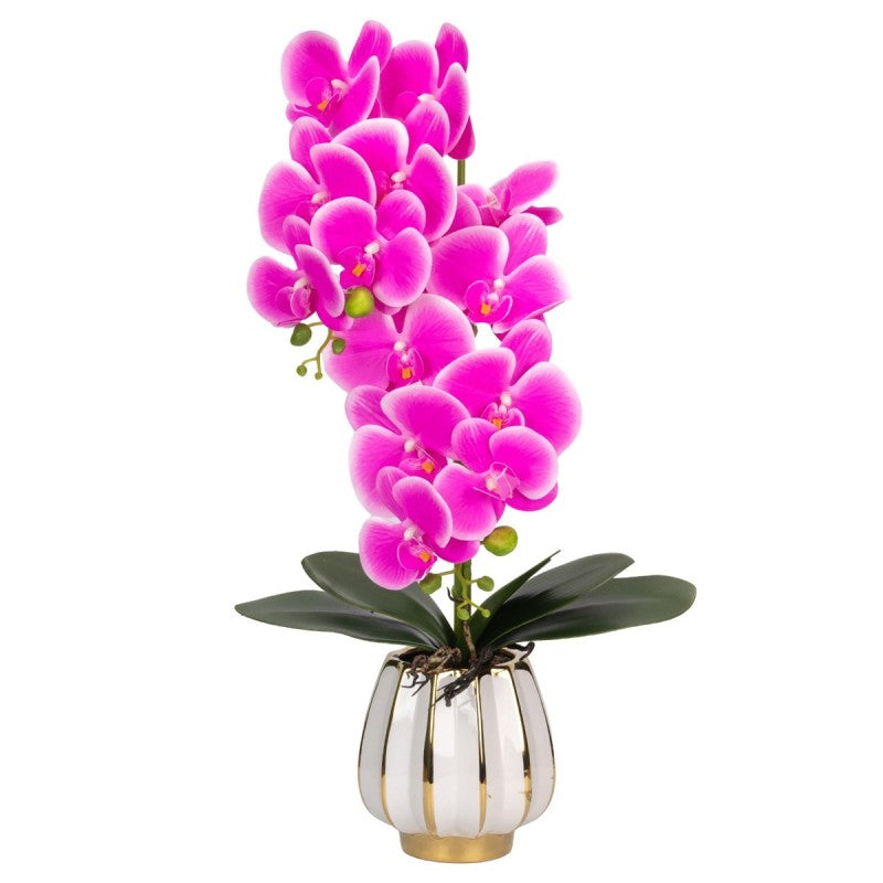Orhidee cu Aspect Natural în Ghiveci Ceramic, 79 cm, Multiple Culori | D6899 / D6900 / D6901 / D6902