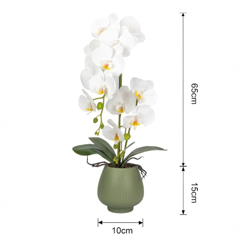 Orhidee cu Aspect Natural în Ghiveci Ceramic, 80 cm, Multiple Culori | D6903 / D6904 / D6905 / D6906