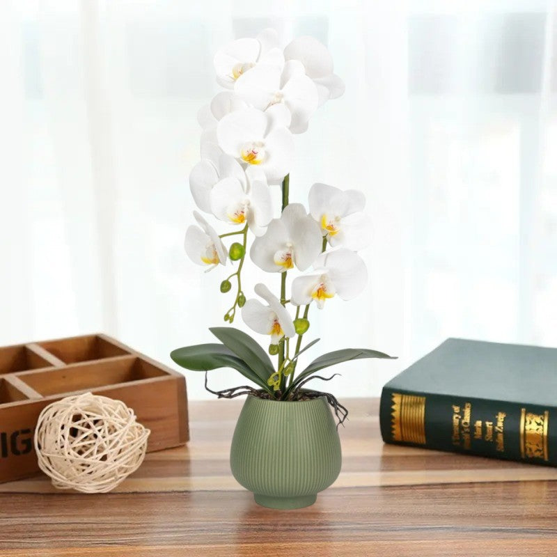 Orhidee cu Aspect Natural în Ghiveci Ceramic, 80 cm, Multiple Culori | D6903 / D6904 / D6905 / D6906