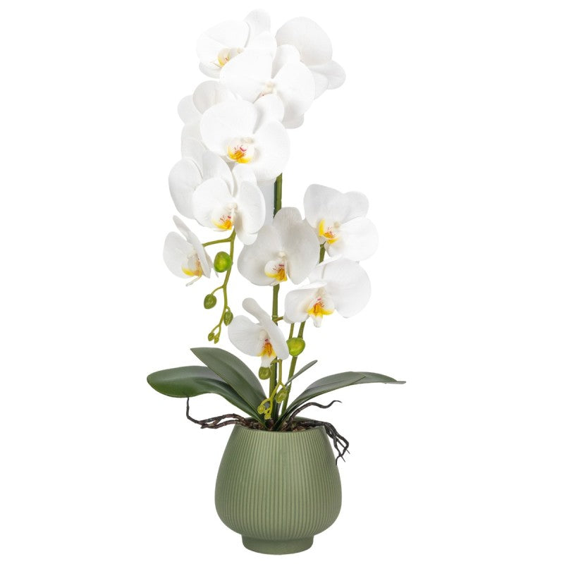 Orhidee cu Aspect Natural în Ghiveci Ceramic, 80 cm, Multiple Culori | D6903 / D6904 / D6905 / D6906