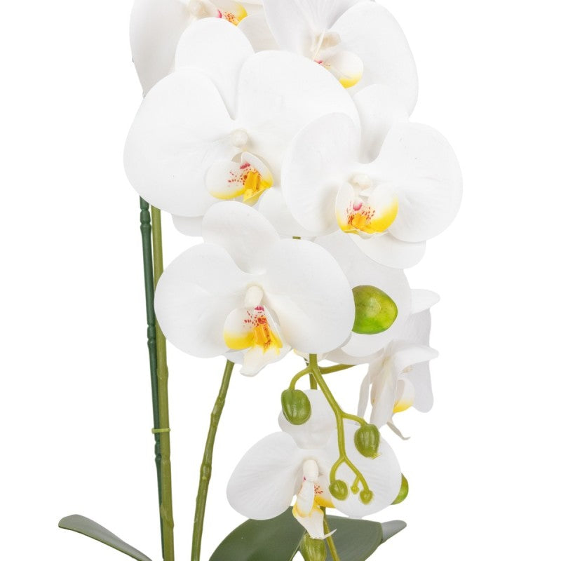 Orhidee cu Aspect Natural în Ghiveci Ceramic, 80 cm, Multiple Culori | D6903 / D6904 / D6905 / D6906
